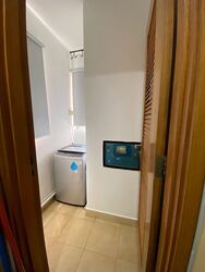 Adam Park Condominium (D11), Condominium #439717611